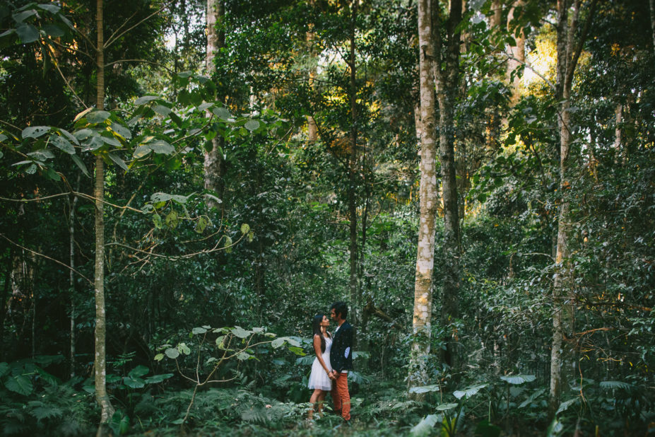 Lamington national park photoshoot